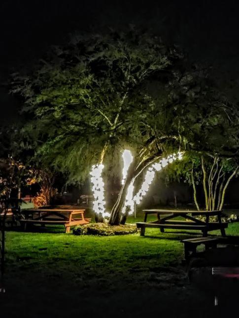 Top Of The Hill Rv Resort & Cabins Waring المظهر الخارجي الصورة
